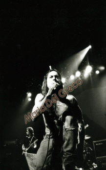 Iggy Pop